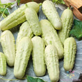 Miniature White Pickle Cucumber Seeds - 25+ Pack - Cucumis sativus - Heirloom Vegetable Seeds for Garden