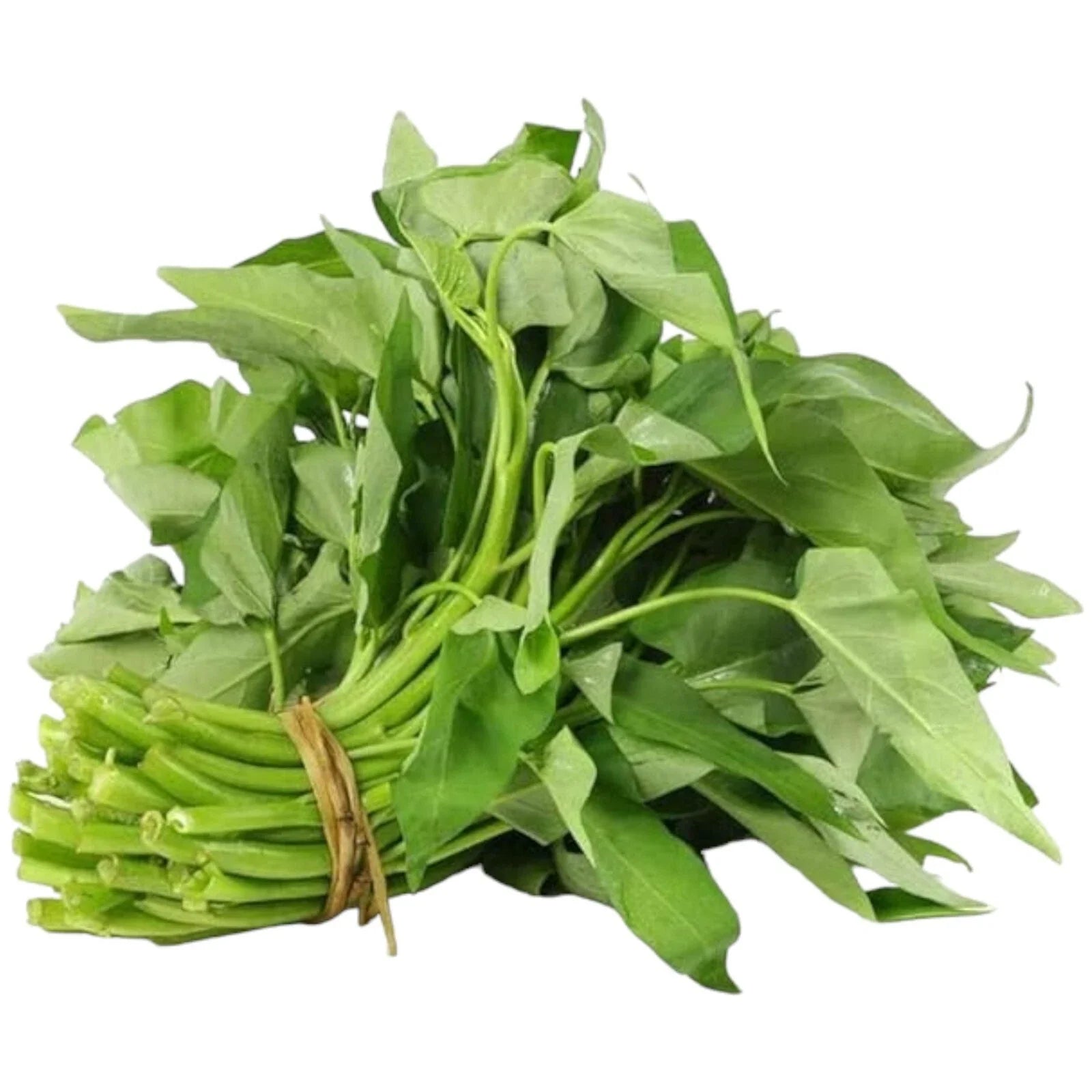 Water Spinach Seeds 120pcs - Organic Non-GMO Heirloom 'Kong Xin Cai' Vegetable - Perfect for Home Gardening