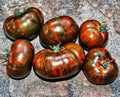 Chocolate Stripe Tomato Seeds - 30+ Heirloom Organic Non-GMO - Rare Variety for Home Gardening