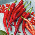 Cayenne Hot Pepper Seeds - 200+ Heirloom Organic Non-GMO - Long Slim Variety - Capsicum annuum
