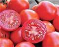 Siberian Tomato Seeds - 30+ Heirloom Organic Seeds - Fresh - Solanum lycopersicum