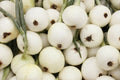 Onion Seeds 200+ White Spanish Sweet Mild NON-GMO Vegetable Garden Seeds Allium cepa