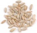 Rye Berries 2 Pounds High Fiber Iron Nutrient-Rich Whole Grain Secale cereale
