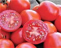 Siberian Tomato Seeds - 120+ Heirloom Organic Non-GMO - Fresh Gardening Seeds for Home Planting