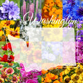 Bulk Wildflower Seed Mix 1lb - Washington Western Variety - Covers 3,200 sq ft - Ideal for Gardens and Pollinators
