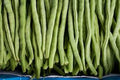 Bean Seeds Mix Collection - Top 5 Heirloom Varieties - Garden Seed Set for Home Growing - Non-GMO Seeds