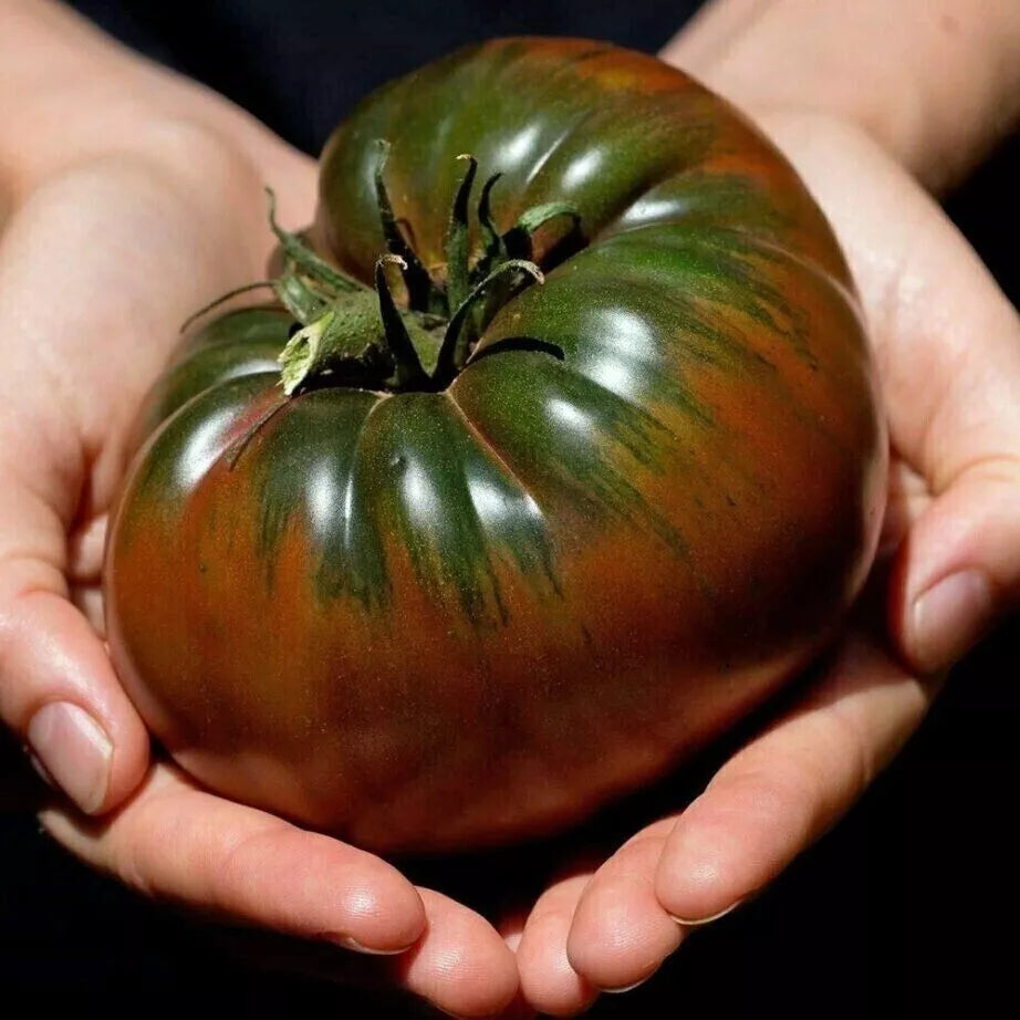 Russian Black Krim Tomato Seeds - 120+ Count - Non-GMO, Organic, Heirloom - Solanum lycopersicum