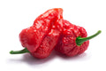 Ghost Pepper Seeds - 10+ Bhut Jolokia Hot Pepper Seeds for Planting, Capsicum chinense