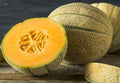 Honey Rock Cantaloupe Seeds - Organic Heirloom Melon - Non-GMO - 200+ Seeds - Cucumis melo