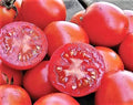Siberian Tomato Seeds - 30+ Heirloom Organic Non-GMO - Fresh Seed Pack