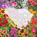 Wildflower Seed Mix 1/4 lb Bulk, South Carolina Variety, Covers 2,000 sq ft, Native Wildflowers