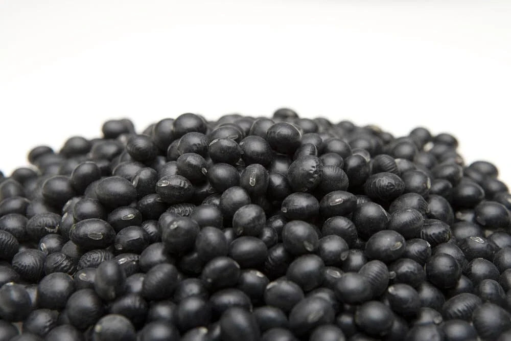 Black Soybean Seeds for Planting - 1 lb - Non-GMO, Organic, Glycine max