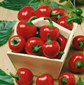 Large Red Cherry Hot Pepper Seeds - 1000+ Seeds - Capsicum annuum - 3000-5000 Scoville Heat Units