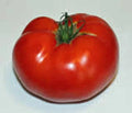 Heirloom Tomato Seeds, 500 Count, Rutgers Variety, Non-GMO, Large Tomato, Solanum lycopersicum
