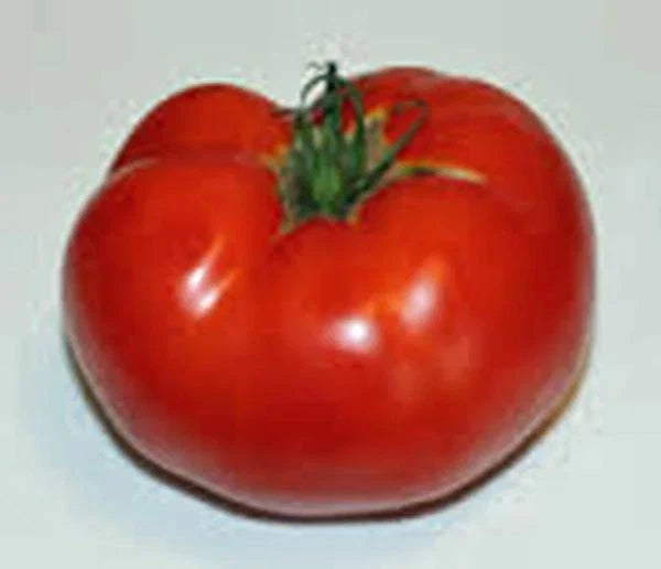 Heirloom Tomato Seeds, 500 Count, Rutgers Variety, Non-GMO, Large Tomato, Solanum lycopersicum