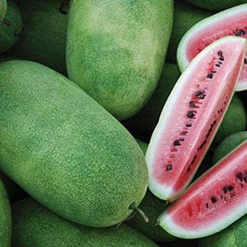 Charleston Grey Watermelon Seeds | Heirloom Non-GMO Seeds | Cucurbita lanatus | Free Shipping