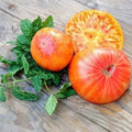 Big Rainbow Tomato Seeds - 30 Heirloom Organic Non-GMO - Rare Variety for Home Gardening