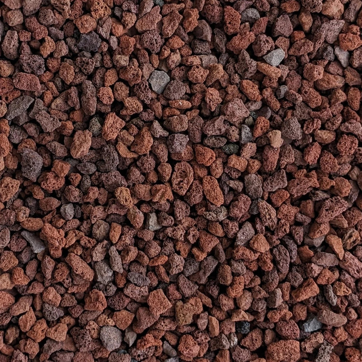 Red Lava Rocks for Plants - Natural Horticultural Volcanic Rock, 1/4" Size, Ideal for Drainage and Soil Aeration