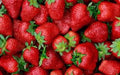 20 Strawberry Plants Junebearing Tennessee Beauty Perennial Fruit Plant Fragaria × ananassa 8-10" Tall, High Yield, Sweet Berries