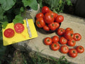 Homestead Tomato Seeds - 120+ Heirloom, Non-GMO, Drought Resistant - Solanum lycopersicum