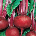 Beet Seed 100 Seeds Detroit Dark Red Heirloom Non-GMO Sweet Beets (Beta vulgaris)