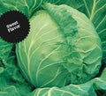 Cabbage Seeds 200+ Heirloom Copenhagen Market NON-GMO Fresh Brassica oleracea
