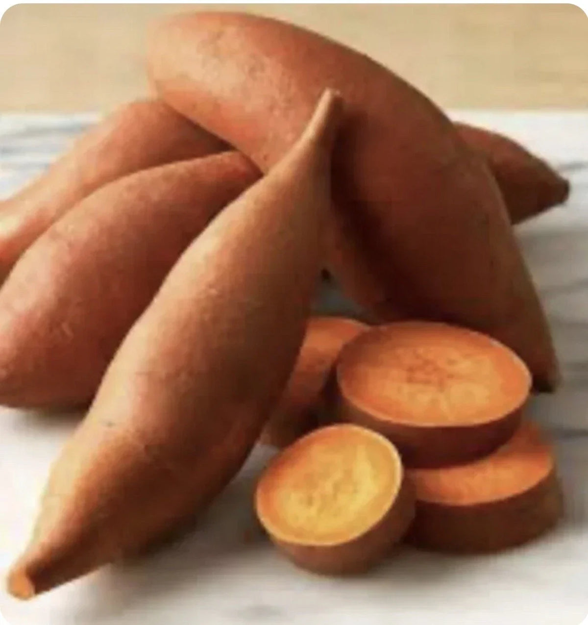 Beauregard Sweet Potato Plants - 15 Slips - Organically Grown - Ipomoea batatas