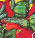 Sweet & Spicy Pepper Mix Seeds - 120+ Variety Pack - Non-GMO Heirloom Peppers - Fresh Seed Collection