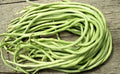 15+ Yard Long Bean Seeds - Asian Chinese Long Bean - High Yield String Beans - Vigna unguiculata