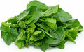 Green Malabar Spinach Seeds - 50+ Organic Seeds, Mong Toi Mu Er Cai, Ceylon Spinach, Basella rubra, USA