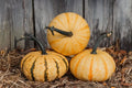Tiger Stripe Pumpkin Seeds - 20 Organic Seeds - Cucurbita pepo - USA Grown, Free Shipping