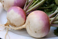 Turnip Vegetable Seeds - Non-GMO 20 Pack - Brassica rapa - Free USA Shipping