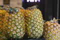 Champaka Pineapple Seeds - 15+ Seeds for Garden Planting - Tropical Fruit - Cananga odorata