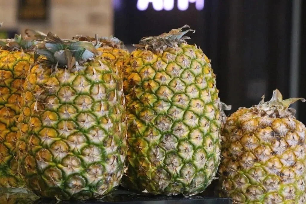 Champaka Pineapple Seeds - 15+ Seeds for Garden Planting - Tropical Fruit - Cananga odorata