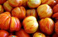 Old German Tomato Seeds - Fresh Heirloom Seeds for Planting - Solanum lycopersicum