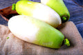 Korean Radish Seeds - 100+ Seeds - Rare Garden Vegetable - Raphanus sativus var. longipinnatus
