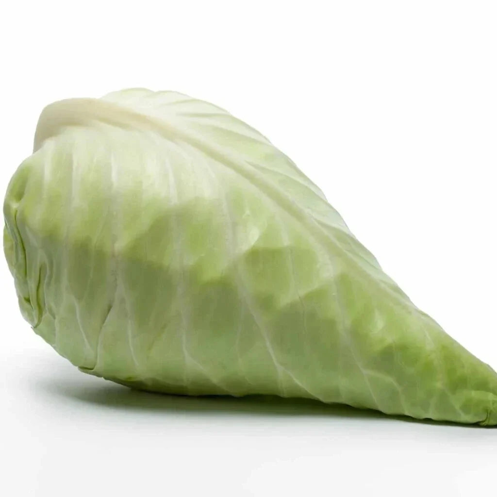 Hispi Cabbage Seeds - 500 Count - Sweetheart Variety - Brassica oleracea - Ideal for Garden Planting - USA