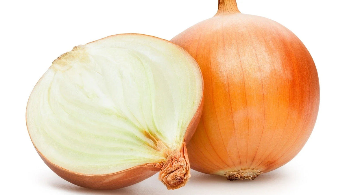 Organic Sweet Spanish Onion Seeds - 50 Heirloom Non-GMO Seeds for Easy Garden Growing - Allium cepa