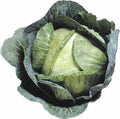 Cabbage Seeds - 2000+ Early Jersey Wakefield - Heirloom - NON GMO - Fresh