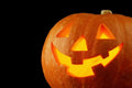 Jack O' Lantern Pumpkin Seeds for Planting | 20+ Seeds | Heirloom Variety | Cucurbita pepo