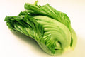 Chinese Indian Mustard Seeds 100-500g Gai Choy Cabbage Seeds Brassica Juncea