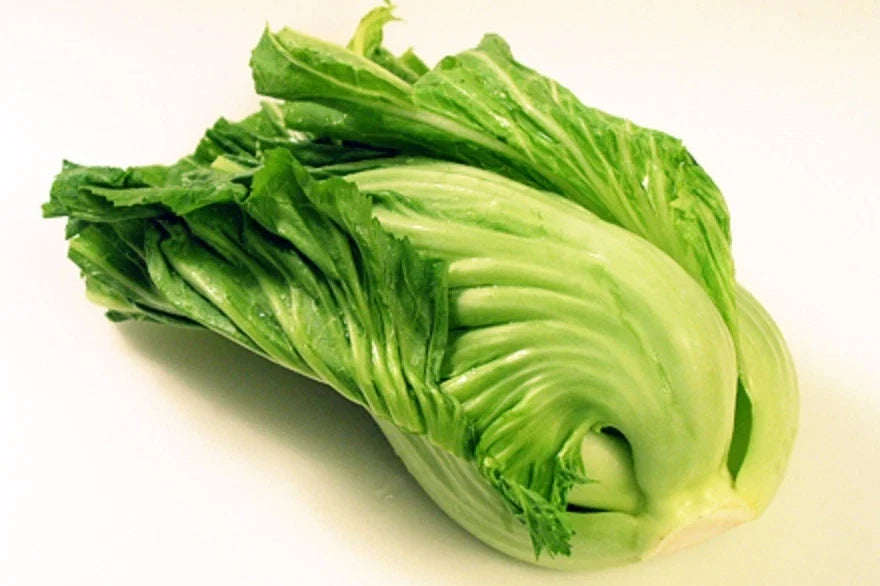 Chinese Indian Mustard Seeds 100-500g Gai Choy Cabbage Seeds Brassica Juncea