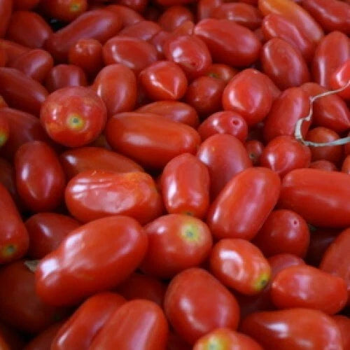 San Marzano Tomato Seeds | Heirloom Non-GMO Variety | Indeterminate | Solanum lycopersicum