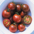 Brown Berry Tomato Seeds - 30+ Heirloom Seeds - Non-GMO Organic - Rare Variety - Solanum lycopersicum
