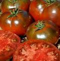 Paul Robeson Tomato Seeds - 50+ Beefsteak - Indeterminate Garden Vegetable - Solanum lycopersicum