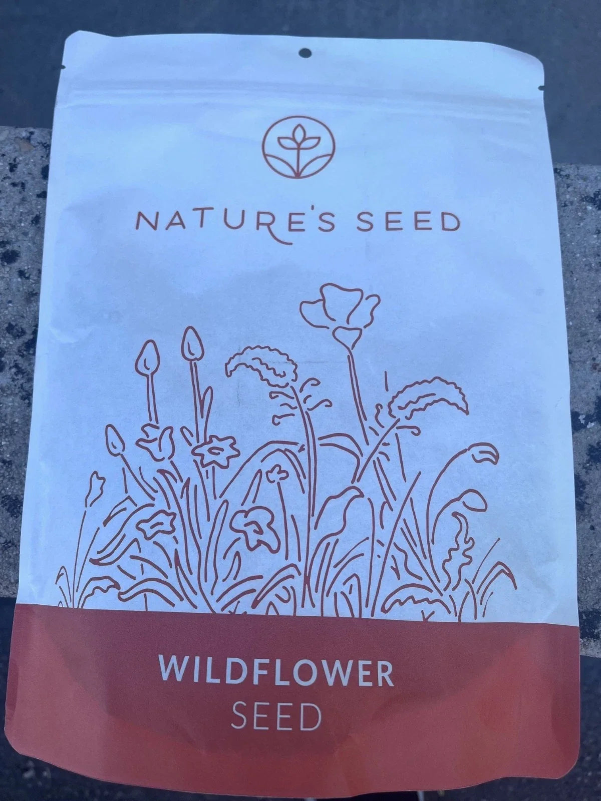 Northeast Wild Flower Seeds 0.5 lbs - Native Wildflower Mix for Pollinators - Ideal for Gardens and Landscapes