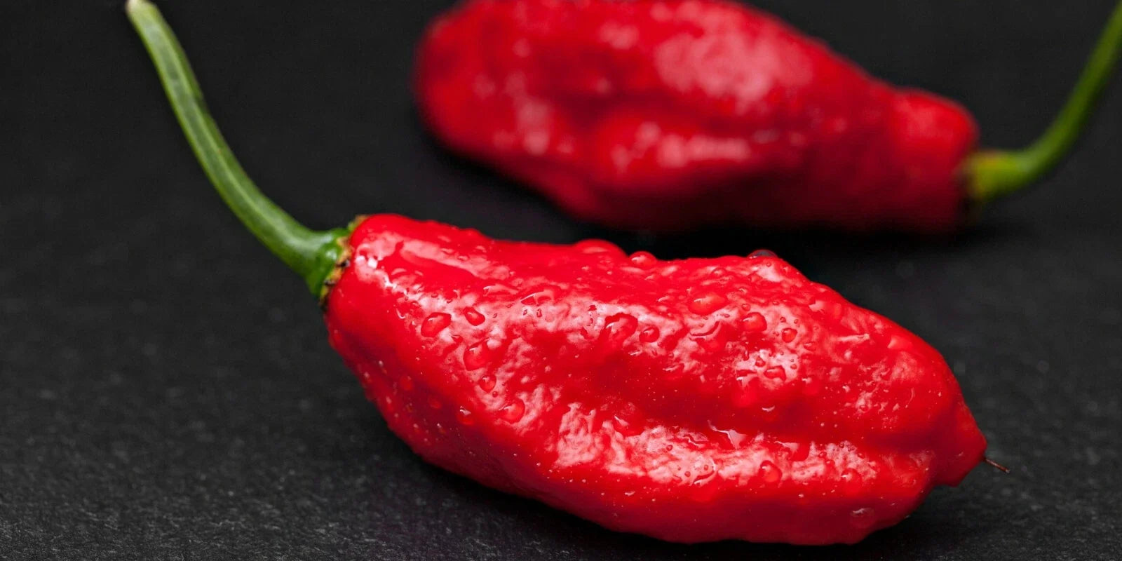 Ghost Pepper Seeds - Fresh Hot Pepper Seeds - Capsicum chinense - Spicy Variety for Gardening