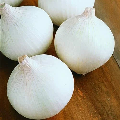 White Sweet Spanish Onion Seeds | Heirloom Non-GMO | Vegetable Gardening | Allium cepa