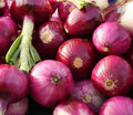 Ruby Red Onion Seeds 200+ Non-GMO Allium Cepa for Vegetable Garden - USA Grown, Free Shipping