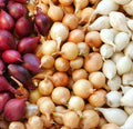 Mixed Onion Sets - 3 Color Bulbs (Yellow, Red, White) - Allium cepa - Fast Shipping for 2025 Planting